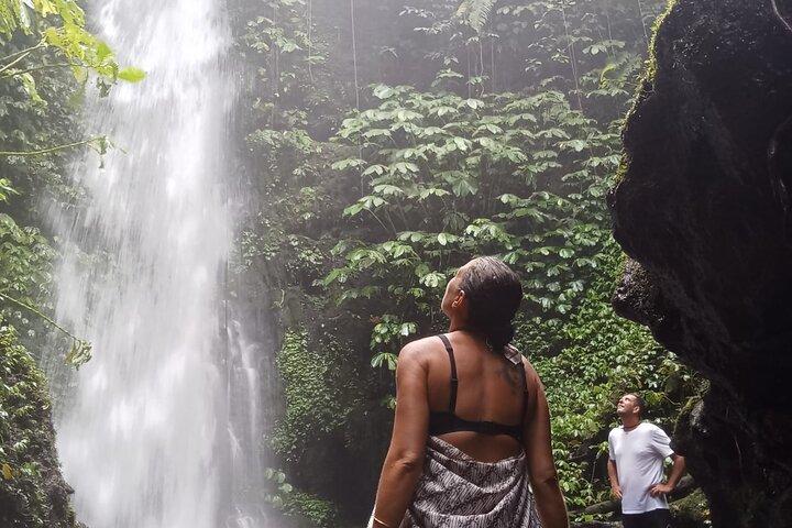 Lombok Private Trip: 4 Waterfalls, Rice Fields & Jungle Trek