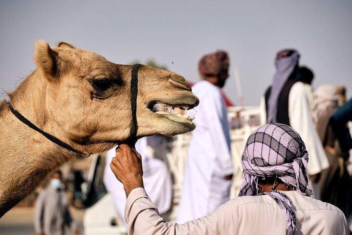 Morning Desert Safari in Abu Dhabi