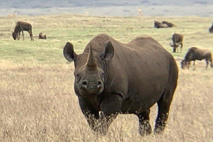 12 Day Kenya and Tanzania Wildlife with Beach Tour Zanzibar