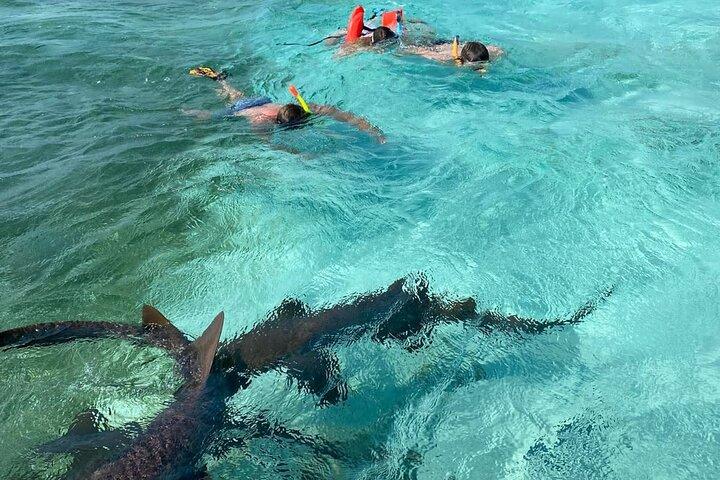 Caye Caulker Marine Reserve 3 Stops Snorkeling Adventure