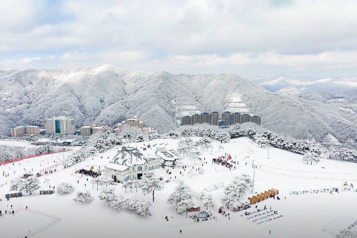 Vivaldi Park Ski Resort One Day Tour