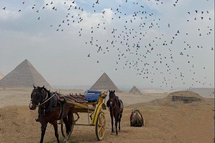 ATV Quad Bike Or Camel Ride At Giza Pyramids Sahara Desert Sunset