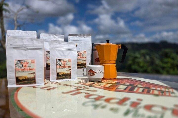 Harvest and Heritage Coffee Tour at Hacienda La Tradición