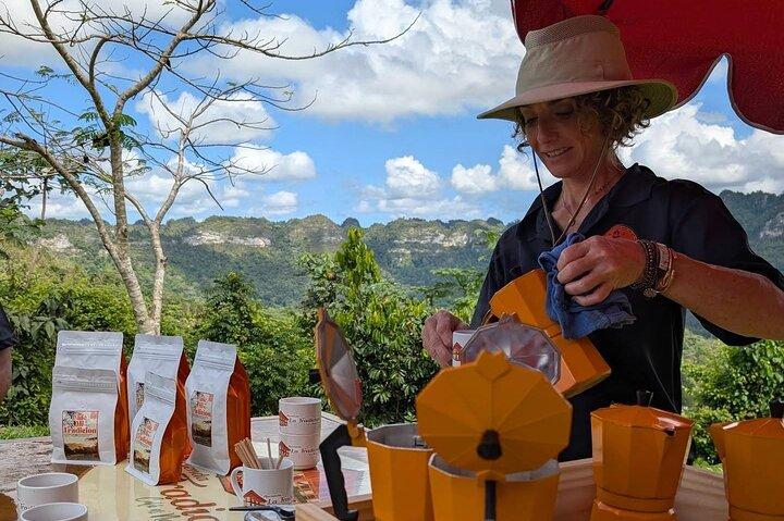 Harvest and Heritage Coffee Tour at Hacienda La Tradición