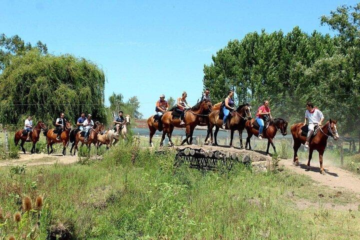 Traditional Gaucha Festival Tour from Buenos Aires