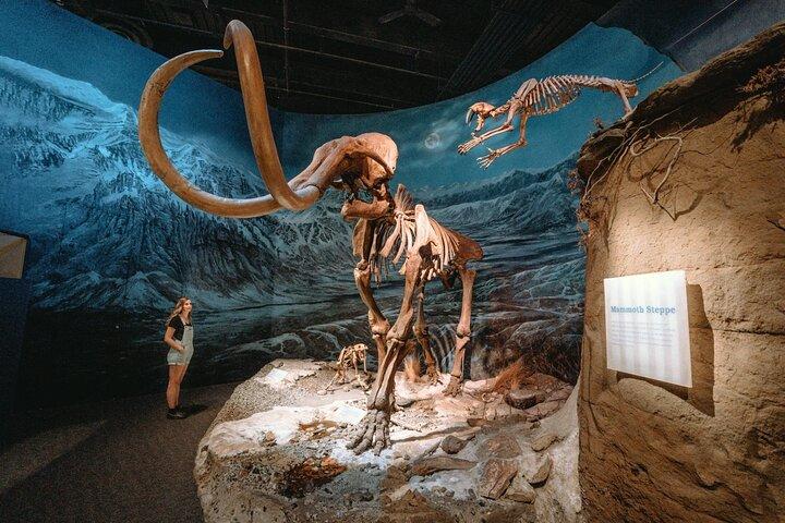 1 Day of Dinosaurs and Hoodoos From Calgary to the Drumheller