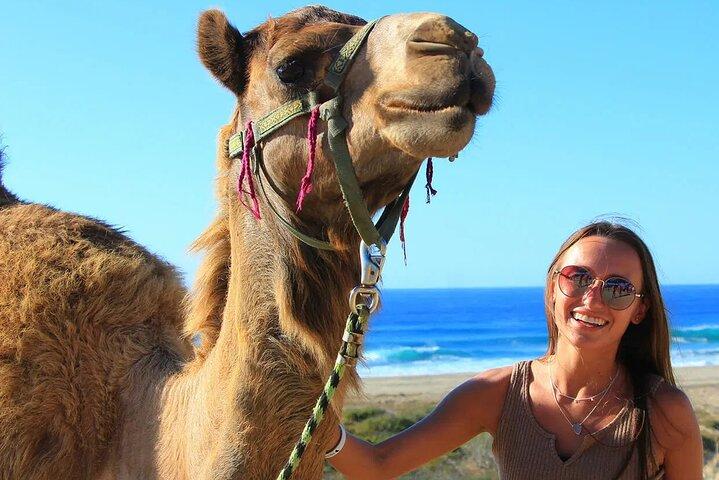Private Camel Ride Beach Adventure with Unlimited Photo Opps