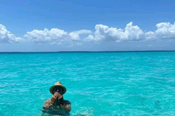 Private Half Day Dolphins and Snorkeling in Mnemba