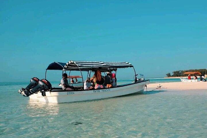 Private Half Day Dolphins and Snorkeling in Mnemba