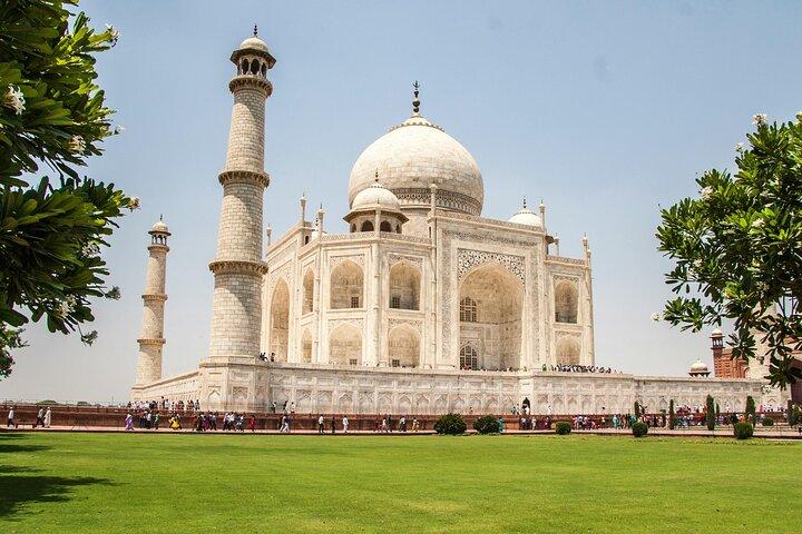 Taj Mahal Sunrise & Agra Fort Day Tour From Agra All-Inclusive