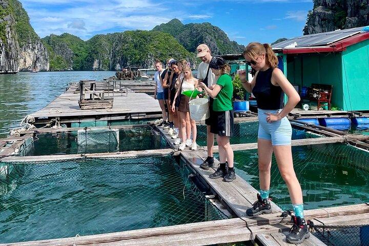 Hanoi: Cat Ba Island 2-Day with Night Kayak, Trekking & Biking