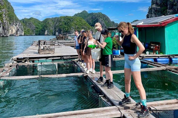 3-Day Discover the Hidden Beauty of Cat Ba Island & Lan Ha Bay