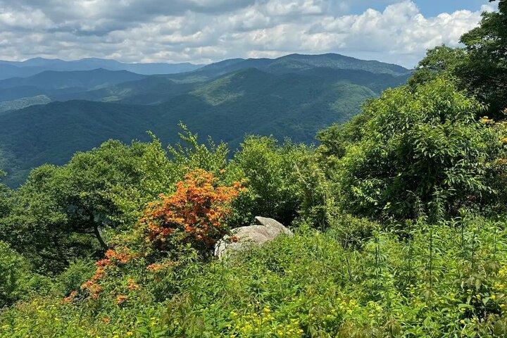 4 Hr Maggie Valley Slingshot Automatic Rental