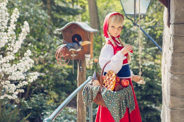 Efteling Theme Park Transfer and Ticket from Amsterdam
