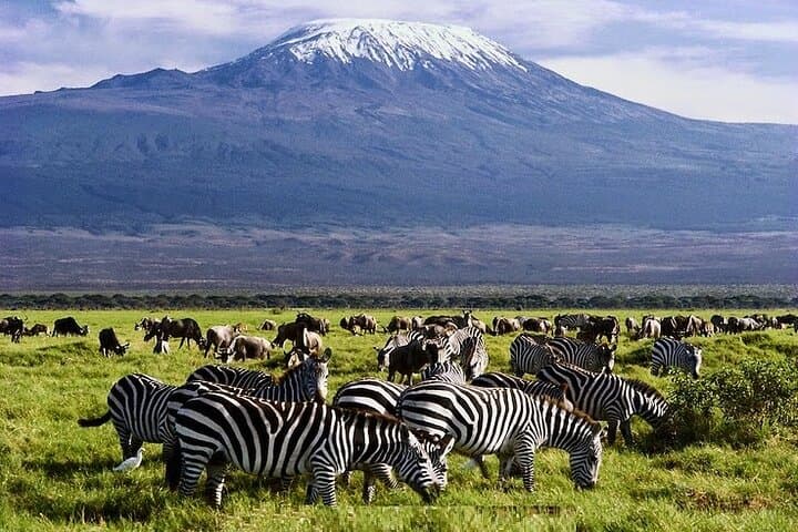 3 Day Amboseli Safari from Nairobi with Game Drives and Wildlife