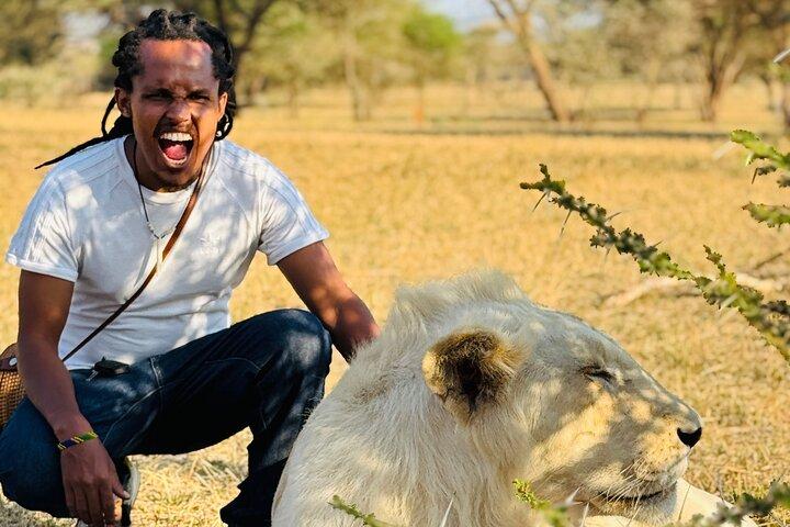 Serval Wildlife Sanctuary Half-Day Tour from Moshi