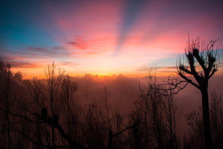 From Yogyakarta: Bromo And Ijen 3D2N With Bali Drop-Off