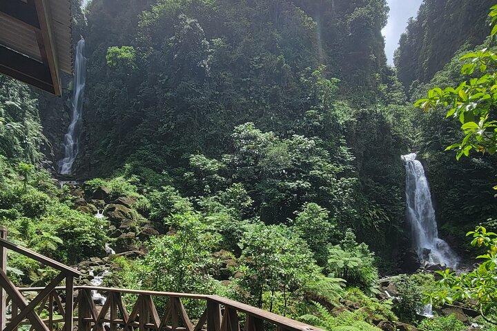 Roseau Rainforest Adventure to Waterfalls & water canyon swimming