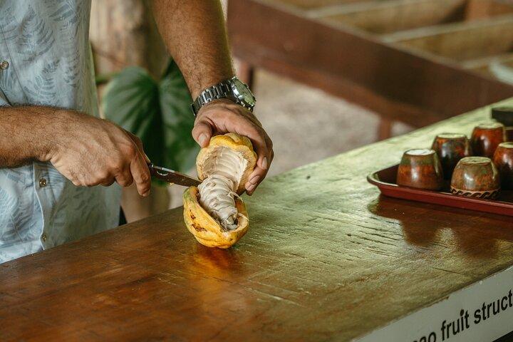 Chocolate Tour Manuel Antonio Tour with Transport