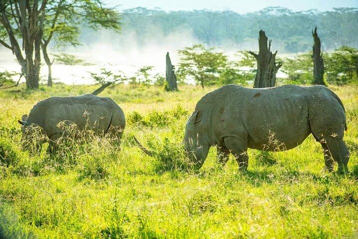 Lake Nakuru day trip from Nairobi