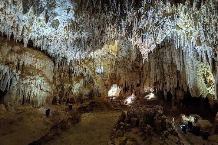 Stingrays, Starfish and Crystal Cave Adventure