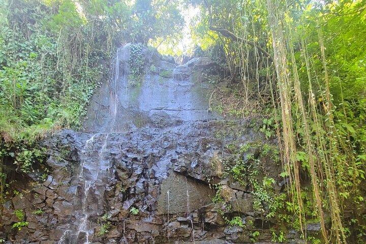 LLanos Del Cortes Waterfall Adventure and Liberia City Tour