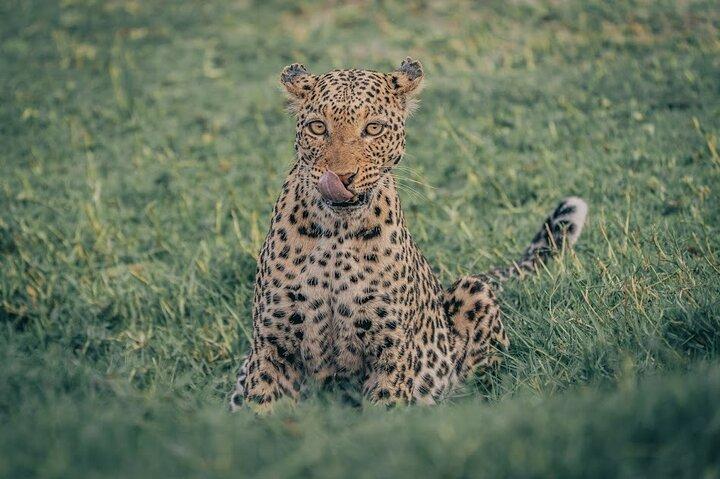 6-Day Kenya Big Five Wildlife and Adventure Safari