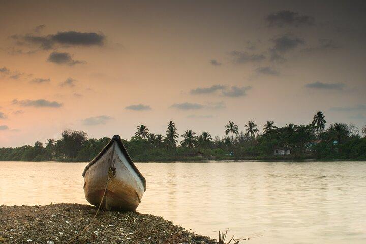 Solo traveller Kerala 6 Day Tour Munnar Thekkady Alleppey Kovalam
