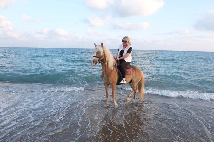 Horseback Riding on the Beach and through the Forest