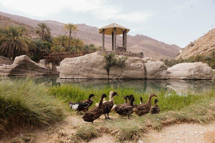 Desert Experience: Wahiba Sands & Wadi Bani Khalid Group Tour