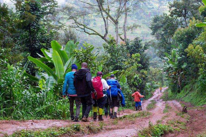 Machame Route 7 days