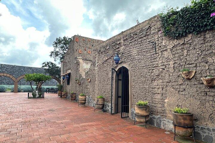 Secrets in Los Altos del Tequila