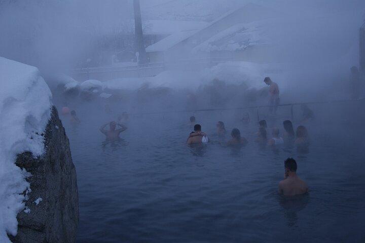 Private Tour for Chena Hot Springs (Free Photo) from Fairbanks