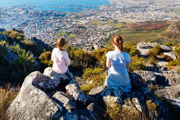 From CapeTown:TableMountain,Penguins &Wine Testing in Constantia