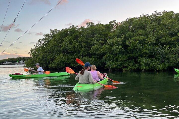 Key West Clear Kayak Eco Tour