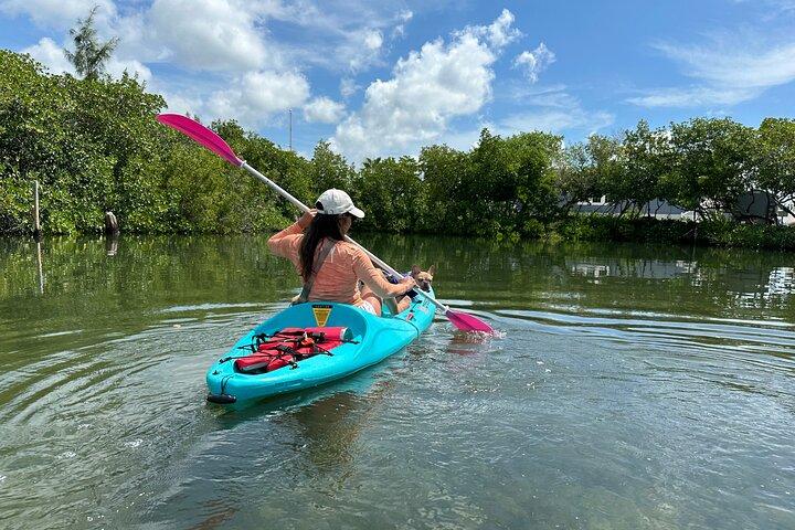 Key West Clear Kayak Eco Tour