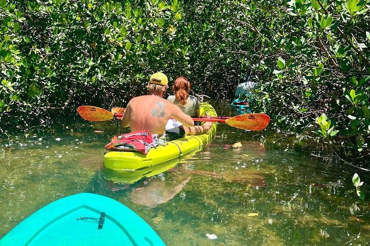 Key West Clear Kayak Eco Tour