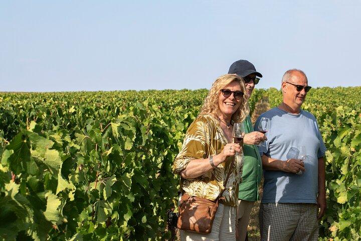Medoc or Saint Emilion Wine Tasting and Chateau from Bordeaux
