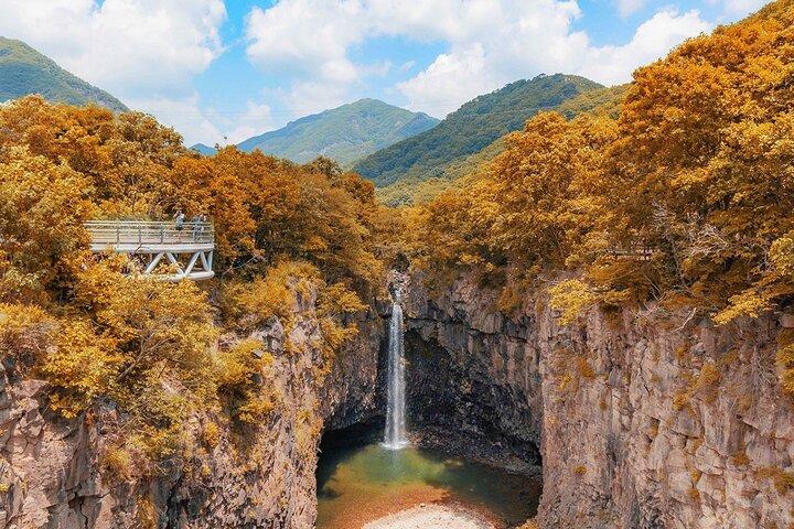 DMZ Tour from Seoul: 3rd Tunnel, North Korea View, UNESCO Valley