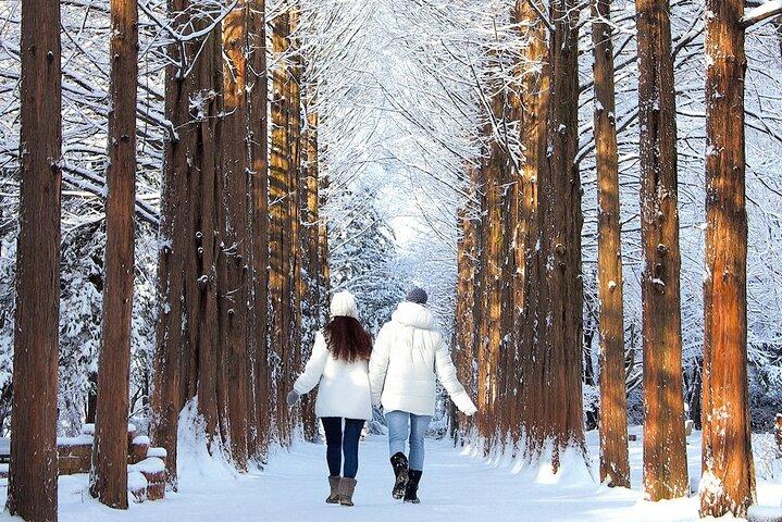 Seoraksan, Eobi Ice Valley & Nami Island Winter Tour from Seoul