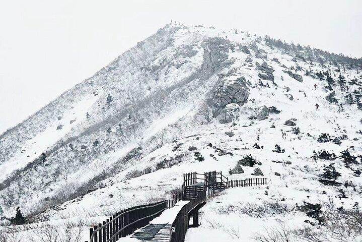 Seoraksan, Eobi Ice Valley & Nami Island Winter Tour from Seoul