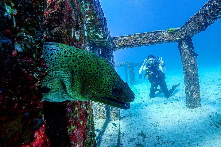Phuket Scuba Diving Racha Islands for All Level Divers