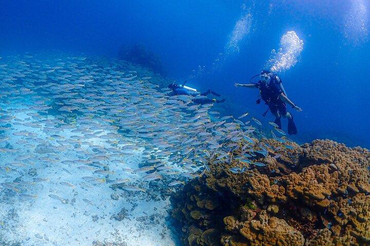 Phuket Scuba Diving Racha Islands for All Level Divers