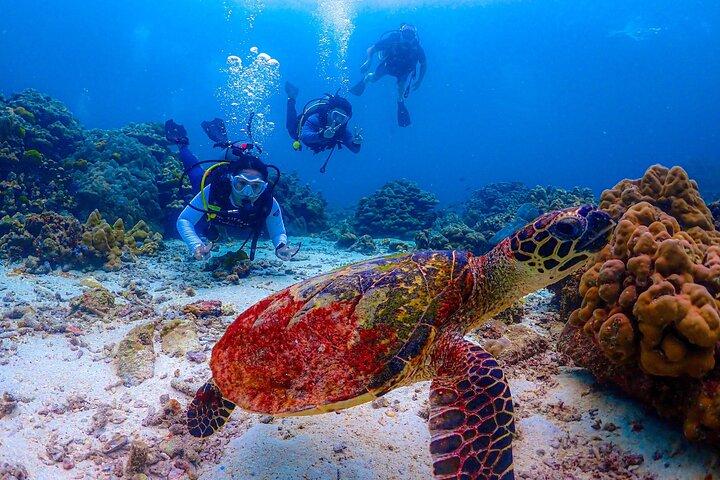 Phuket Scuba Diving Racha Islands for All Level Divers