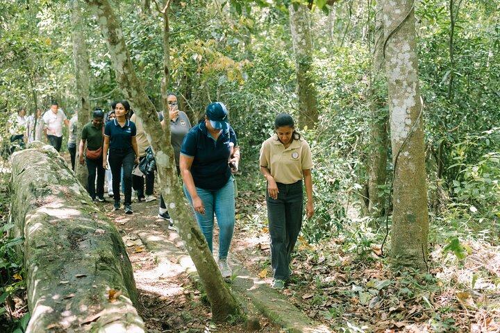 Kandy Yahalatenna Walking Coffee Class Activity