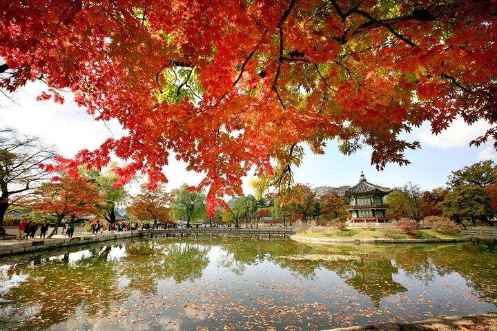 Seoul Private Tour Gyeongbok Palace Bukchon and Gwangjang Market