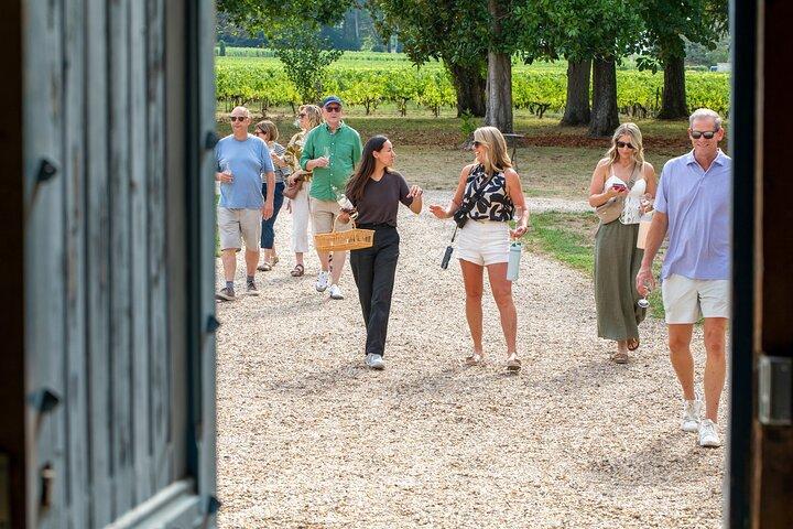 Full Day Tour Saint Emilion with lunch two Chateaux and Village