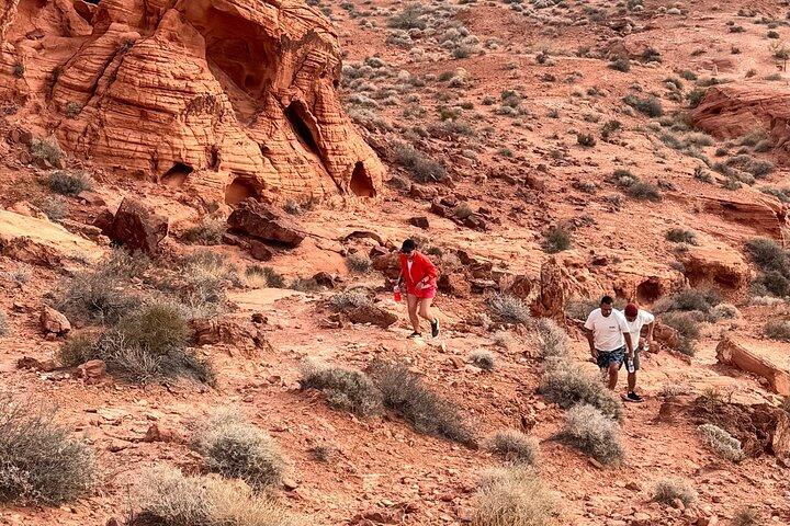Valley of fire and Mojave Desert Tour from Las Vegas