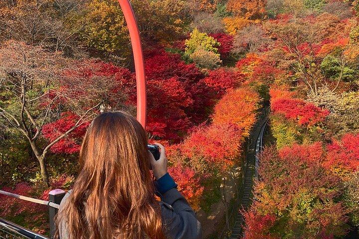 Hwadam Botanic Garden and Namhansanseong and Folk Village Trip
