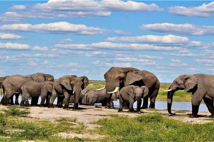 3 Day Botswana Safari Khwai Concession Shared Tour